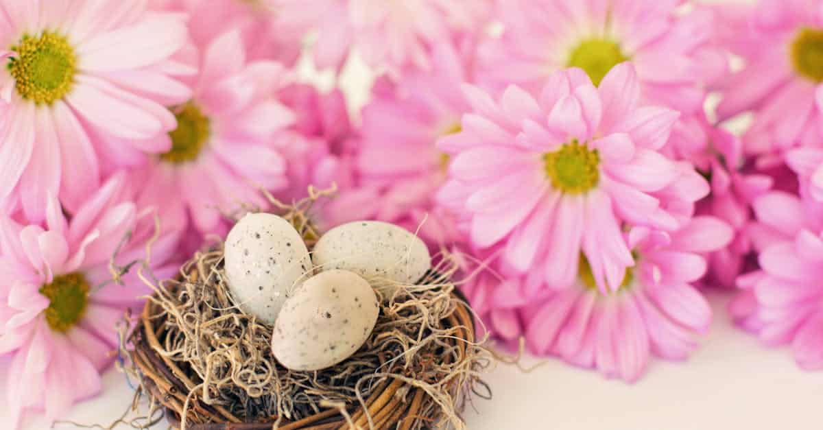 discover how to build and grow your nest egg with our expert tips and advice on saving, investing, and financial planning.